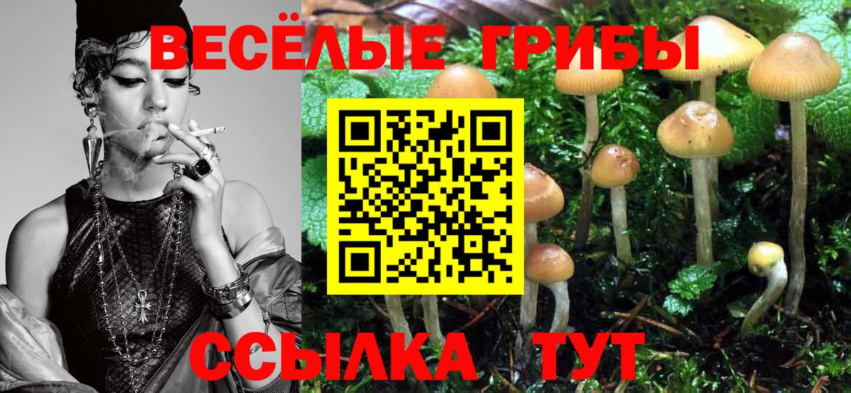 Галлюциногенные грибы ЛСД  как найти закладки  Чехов  Вход с VPN 